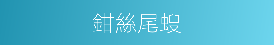 鉗絲尾螋的同義詞