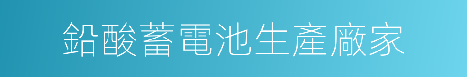 鉛酸蓄電池生產廠家的同義詞