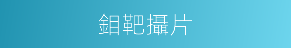 鉬靶攝片的同義詞