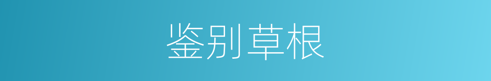 鉴别草根的同义词
