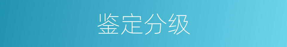鉴定分级的同义词