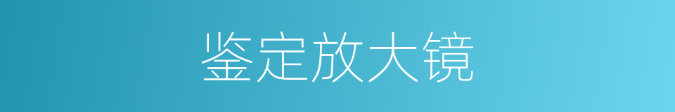 鉴定放大镜的同义词