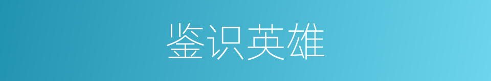 鉴识英雄的同义词