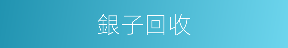銀子回收的同義詞