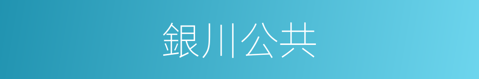 銀川公共的同義詞