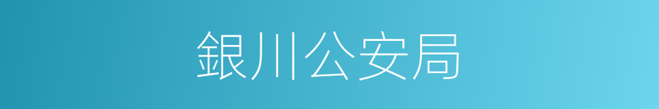 銀川公安局的同義詞