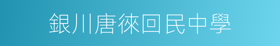 銀川唐徠回民中學的同義詞