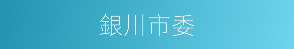 銀川市委的同義詞