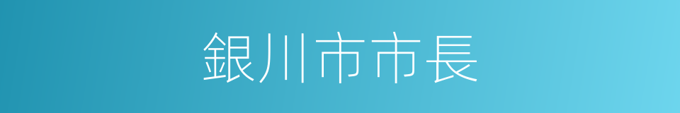 銀川市市長的同義詞
