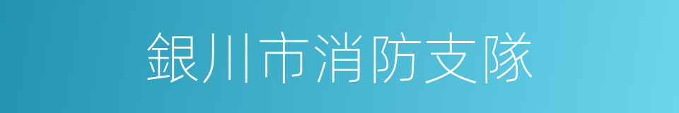 銀川市消防支隊的同義詞