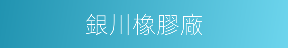 銀川橡膠廠的同義詞