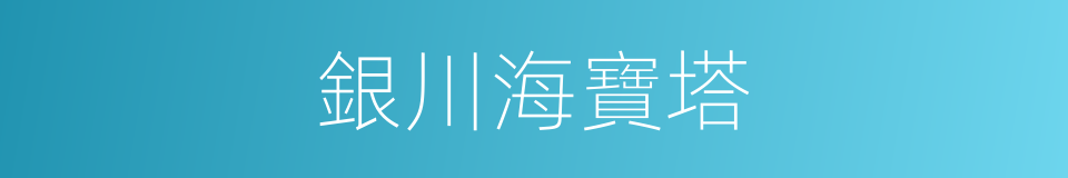 銀川海寶塔的同義詞