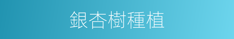 銀杏樹種植的同義詞