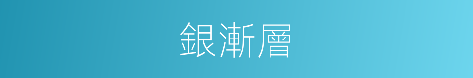 銀漸層的同義詞