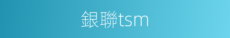 銀聯tsm的同義詞