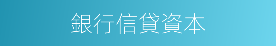銀行信貸資本的同義詞