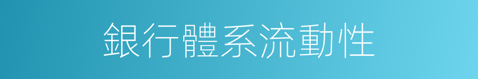 銀行體系流動性的同義詞