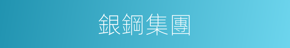 銀鋼集團的同義詞