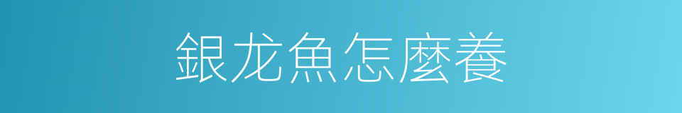 銀龙魚怎麼養的同義詞