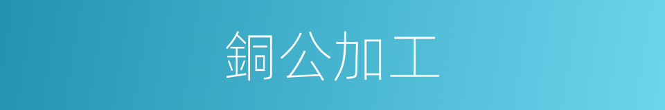 銅公加工的同義詞