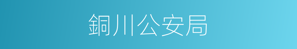 銅川公安局的同義詞