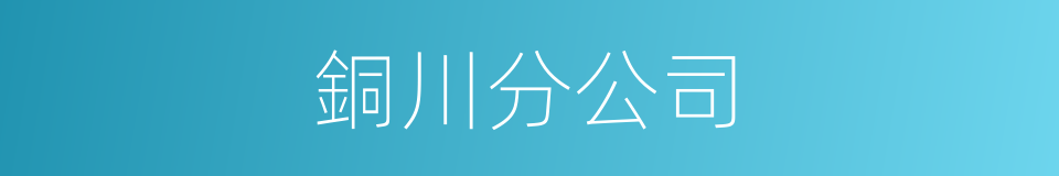 銅川分公司的同義詞