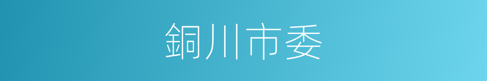 銅川市委的同義詞