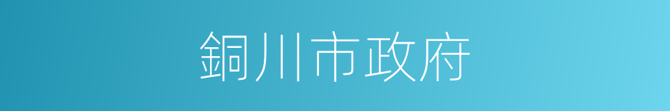 銅川市政府的同義詞