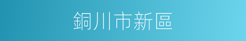 銅川市新區的同義詞