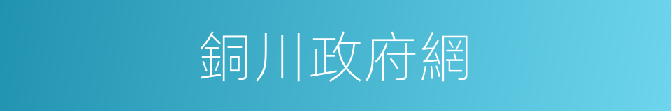 銅川政府網的同義詞