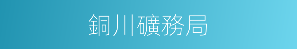 銅川礦務局的同義詞