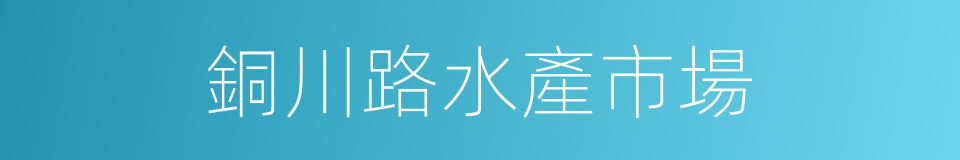 銅川路水產市場的同義詞