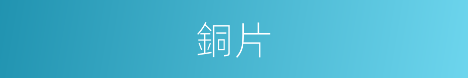 銅片的意思