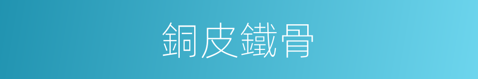 銅皮鐵骨的同義詞