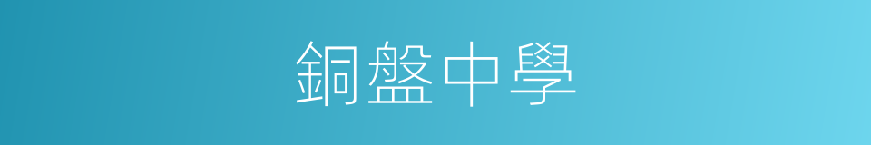 銅盤中學的同義詞