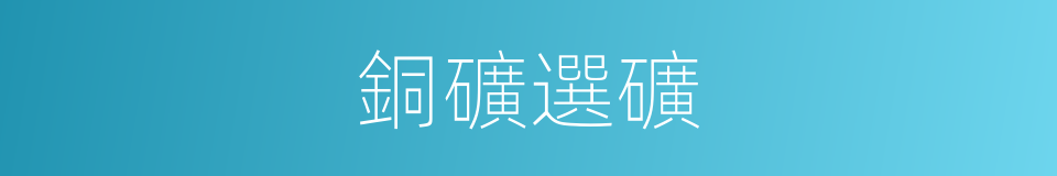 銅礦選礦的同義詞