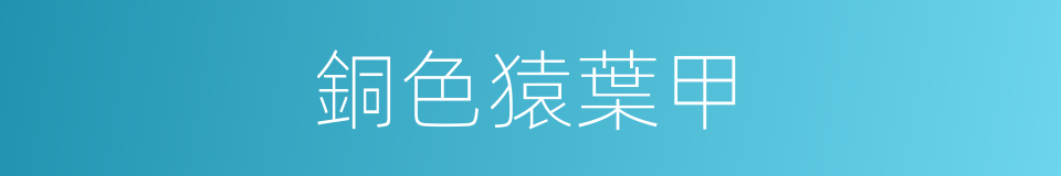 銅色猿葉甲的同義詞