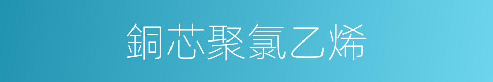 銅芯聚氯乙烯的同義詞