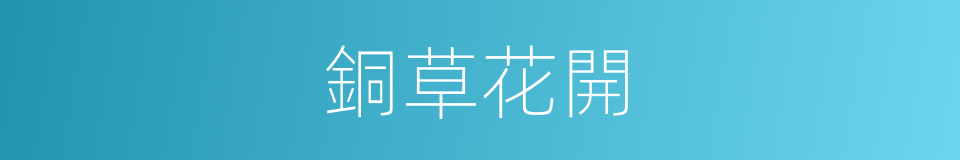 銅草花開的同義詞