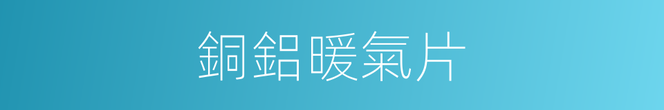 銅鋁暖氣片的同義詞