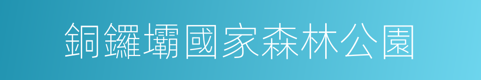 銅鑼壩國家森林公園的同義詞