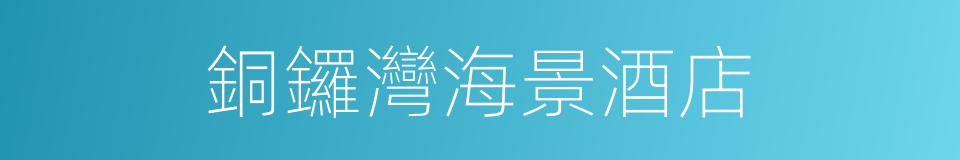 銅鑼灣海景酒店的同義詞