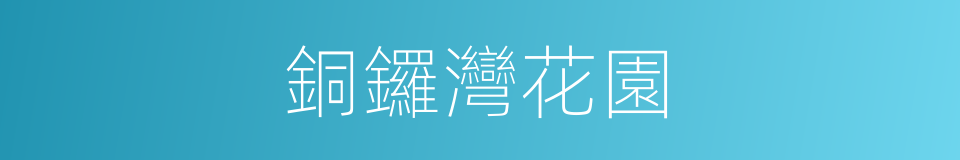 銅鑼灣花園的同義詞
