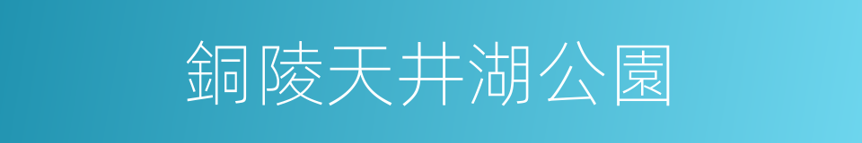 銅陵天井湖公園的同義詞