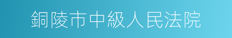 銅陵市中級人民法院的同義詞