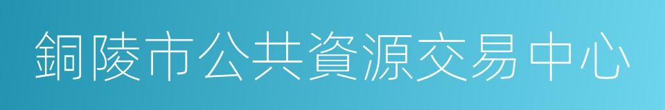 銅陵市公共資源交易中心的同義詞