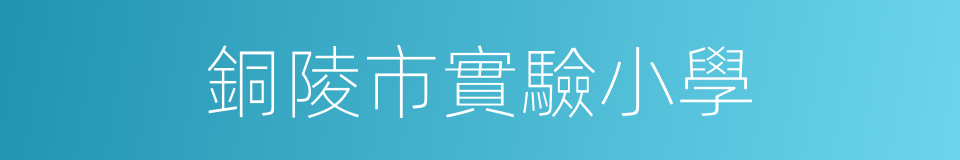 銅陵市實驗小學的同義詞