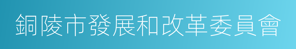 銅陵市發展和改革委員會的同義詞