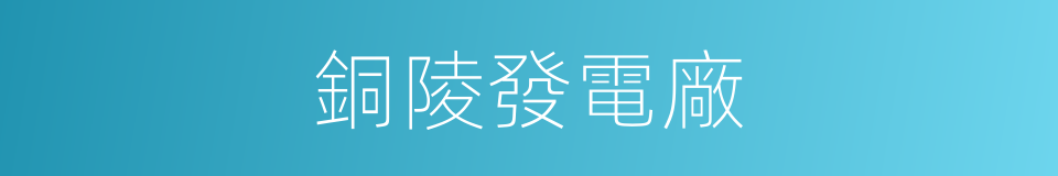 銅陵發電廠的同義詞