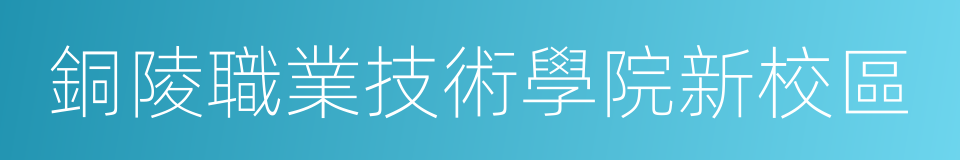 銅陵職業技術學院新校區的同義詞